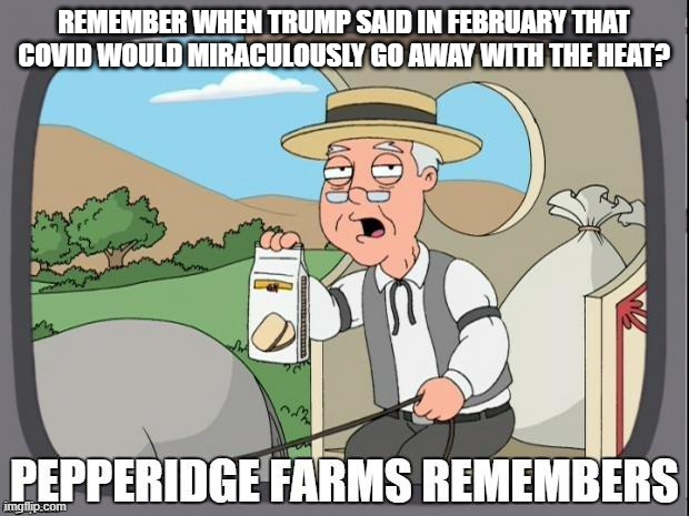 Pepperidge Farm COVID | REMEMBER WHEN TRUMP SAID IN FEBRUARY THAT COVID WOULD MIRACULOUSLY GO AWAY WITH THE HEAT? | image tagged in pepperidge farms remembers,donald trump,covid-19,covid,trump | made w/ Imgflip meme maker