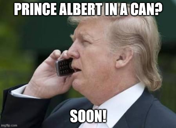 trump phone | PRINCE ALBERT IN A CAN? SOON! | image tagged in trump phone | made w/ Imgflip meme maker