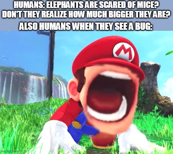 Mario screaming | HUMANS: ELEPHANTS ARE SCARED OF MICE? DON'T THEY REALIZE HOW MUCH BIGGER THEY ARE? ALSO HUMANS WHEN THEY SEE A BUG: | image tagged in mario screaming | made w/ Imgflip meme maker