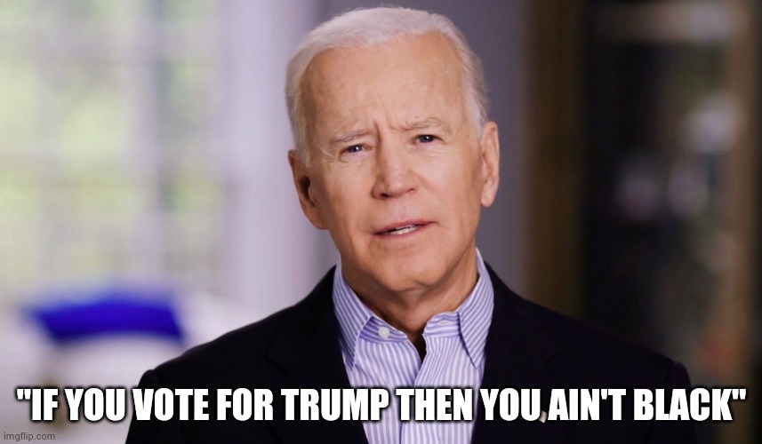 Joe Biden 2020 | "IF YOU VOTE FOR TRUMP THEN YOU AIN'T BLACK" | image tagged in joe biden 2020 | made w/ Imgflip meme maker