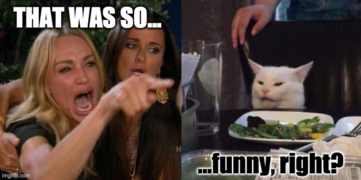 THAT WAS SO... funny, right? (Women yelling at cat.) | THAT WAS SO... ...funny, right? | image tagged in woman screaming at cat | made w/ Imgflip meme maker