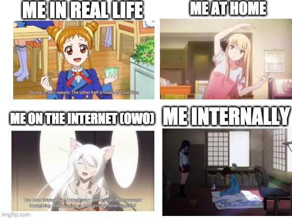 25% Deredere, 25% Bakadere, 25% Nyadere, 25% Utsudere, 100% awsome! | ME IN REAL LIFE; ME AT HOME; ME ON THE INTERNET (OWO); ME INTERNALLY | image tagged in blank white template,dere,help | made w/ Imgflip meme maker