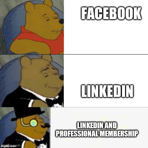 It's pretty much true, right? | FACEBOOK; LINKEDIN; LINKEDIN AND PROFESSIONAL MEMBERSHIP | image tagged in tuxedo winnie the pooh 4 panel,memes,tuxedo winnie the pooh | made w/ Imgflip meme maker