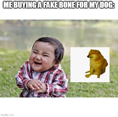 Evil | ME BUYING A FAKE BONE FOR MY DOG: | image tagged in memes,evil toddler | made w/ Imgflip meme maker
