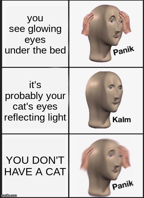 PANIK TIME | you see glowing eyes under the bed; it's probably your cat's eyes reflecting light; YOU DON'T HAVE A CAT | image tagged in memes,panik kalm panik | made w/ Imgflip meme maker