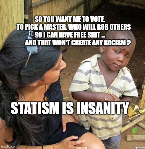 black kid | SO YOU WANT ME TO VOTE.       TO PICK A MASTER, WHO WILL ROB OTHERS SO I CAN HAVE FREE SHIT ...              AND THAT WON'T CREATE ANY RACISM ? STATISM IS INSANITY | image tagged in black kid | made w/ Imgflip meme maker