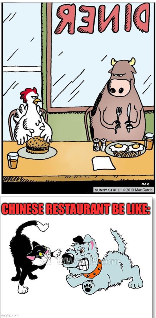 American Diner vs Chinese Restaurant | CHINESE RESTAURANT BE LIKE: | image tagged in menu,chinese restaurant,american diner,cats and dogs | made w/ Imgflip meme maker