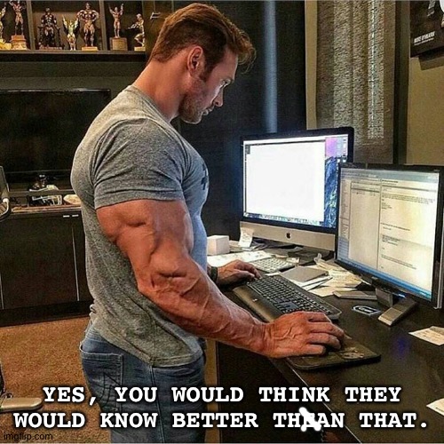 Buff man typing | YES, YOU WOULD THINK THEY WOULD KNOW BETTER THEAN THAT. | image tagged in buff man typing | made w/ Imgflip meme maker