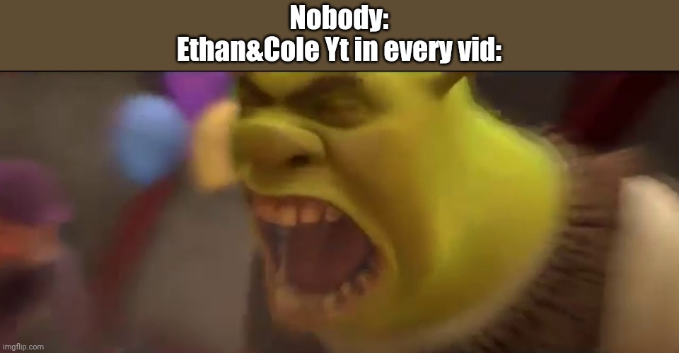 Just for entertaining | Nobody:
Ethan&Cole Yt in every vid: | image tagged in shrek screaming | made w/ Imgflip meme maker