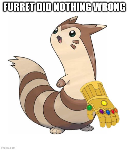furret and the infinity gauntlet | FURRET DID NOTHING WRONG | image tagged in furret and the infinity gauntlet | made w/ Imgflip meme maker