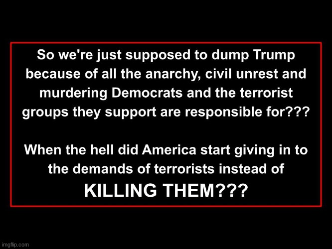Remember once upon a time in America when we killed the bad guys? | image tagged in terrorists,antifa,blm,political,politics | made w/ Imgflip meme maker