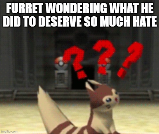 Dude, I barely made like 2 memes with him recently and there's already a ton of anti-Furret memes | FURRET WONDERING WHAT HE DID TO DESERVE SO MUCH HATE | image tagged in confused furret,memes | made w/ Imgflip meme maker