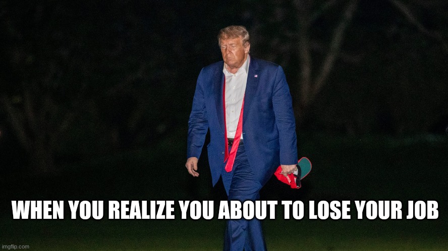 Lose Your Job | WHEN YOU REALIZE YOU ABOUT TO LOSE YOUR JOB | image tagged in trump,sad,loser,donald trump you're fired,notmypresident,jobless | made w/ Imgflip meme maker