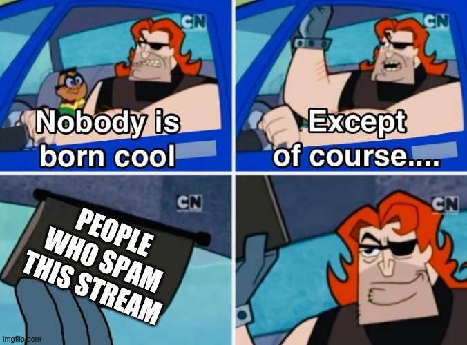 Nobody is born cool | PEOPLE WHO SPAM THIS STREAM | image tagged in nobody is born cool | made w/ Imgflip meme maker