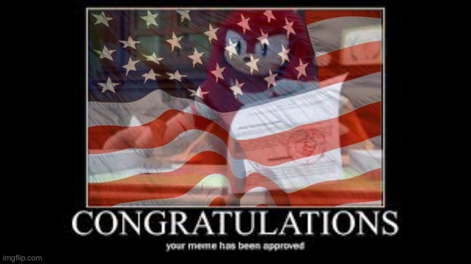 Your meme has been approved USA | image tagged in your meme has been approved usa | made w/ Imgflip meme maker