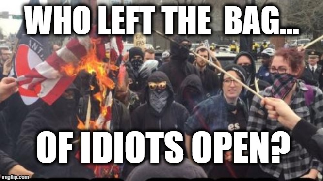 Who Left the Bag of idiots open | WHO LEFT THE  BAG... OF IDIOTS OPEN? | image tagged in antifa democrat leftist terrorist,flag,democrats,riots,evil,usa | made w/ Imgflip meme maker