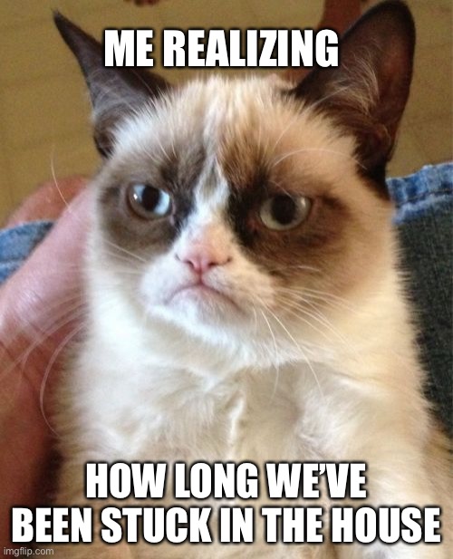 Grumpy Cat Meme | ME REALIZING; HOW LONG WE’VE BEEN STUCK IN THE HOUSE | image tagged in memes,grumpy cat | made w/ Imgflip meme maker
