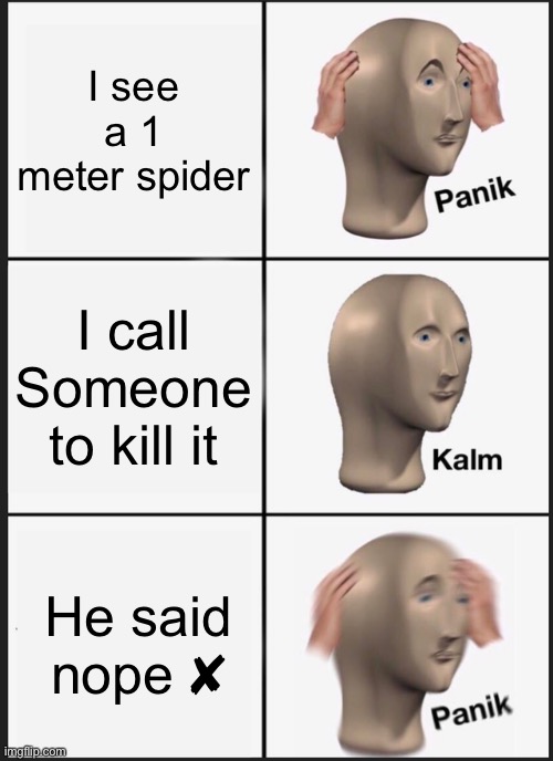 Panik Kalm Panik | I see a 1 meter spider; I call Someone to kill it; He said nope ✘ | image tagged in memes,panik kalm panik | made w/ Imgflip meme maker