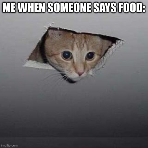 Ceiling Cat | ME WHEN SOMEONE SAYS FOOD: | image tagged in memes,ceiling cat | made w/ Imgflip meme maker