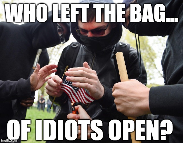 Who left the bag of idiots open? | WHO LEFT THE BAG... OF IDIOTS OPEN? | image tagged in antifa,politics,usa,4th of july,black lives matter,terrorists | made w/ Imgflip meme maker