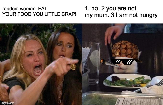 No | random woman: EAT YOUR FOOD YOU LITTLE CRAP! 1. no. 2 you are not my mum. 3 I am not hungry | image tagged in memes,woman yelling at cat | made w/ Imgflip meme maker