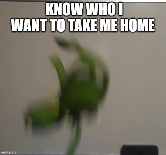 closing time | KNOW WHO I WANT TO TAKE ME HOME | image tagged in closing time,kermit | made w/ Imgflip meme maker