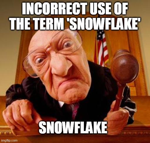 Mean Judge | INCORRECT USE OF THE TERM 'SNOWFLAKE' SNOWFLAKE | image tagged in mean judge | made w/ Imgflip meme maker