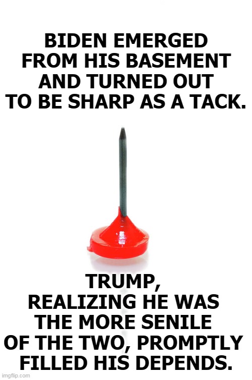 Biden's brain is far more functional than Trump's disordered mind. | BIDEN EMERGED FROM HIS BASEMENT AND TURNED OUT TO BE SHARP AS A TACK. TRUMP, 
REALIZING HE WAS 
THE MORE SENILE 
OF THE TWO, PROMPTLY 
FILLED HIS DEPENDS. | image tagged in biden,smart,trump,insane,stupid,crazy | made w/ Imgflip meme maker