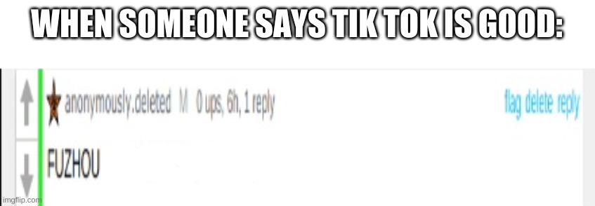 anonymously.deleted FUZHOU | WHEN SOMEONE SAYS TIK TOK IS GOOD: | image tagged in anonymouslydeleted fuzhou | made w/ Imgflip meme maker