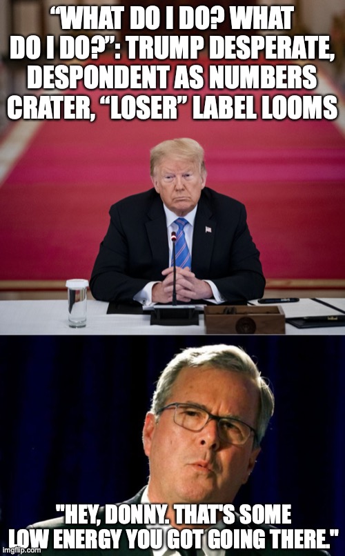 Meet Jeb Trump! | “WHAT DO I DO? WHAT DO I DO?”: TRUMP DESPERATE, DESPONDENT AS NUMBERS CRATER, “LOSER” LABEL LOOMS; "HEY, DONNY. THAT'S SOME LOW ENERGY YOU GOT GOING THERE." | image tagged in jeb bush trump,low energy trump,low energy jeb,trump polls | made w/ Imgflip meme maker