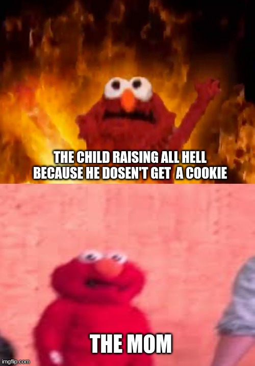 the child raising all hell because he dosen't get a cookie | THE CHILD RAISING ALL HELL BECAUSE HE DOSEN'T GET  A COOKIE; THE MOM | image tagged in dank memes | made w/ Imgflip meme maker