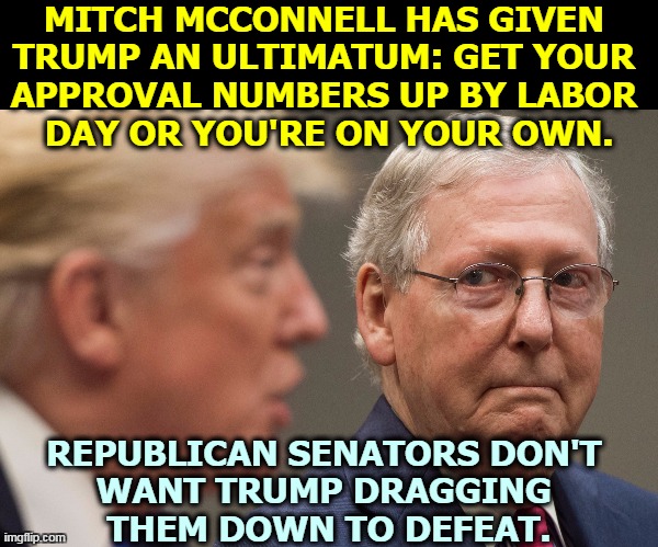 Trump's approval ratings are horrendous. If necessary, the GOP will defend itself. | MITCH MCCONNELL HAS GIVEN 
TRUMP AN ULTIMATUM: GET YOUR 
APPROVAL NUMBERS UP BY LABOR 
DAY OR YOU'RE ON YOUR OWN. REPUBLICAN SENATORS DON'T 
WANT TRUMP DRAGGING 
THEM DOWN TO DEFEAT. | image tagged in trump,winning,mitch mcconnell,defender,gop,senate | made w/ Imgflip meme maker