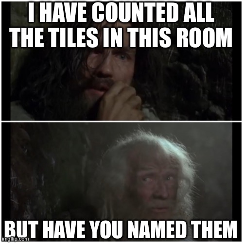 But have you named them | I HAVE COUNTED ALL THE TILES IN THIS ROOM BUT HAVE YOU NAMED THEM | image tagged in but have you named them | made w/ Imgflip meme maker