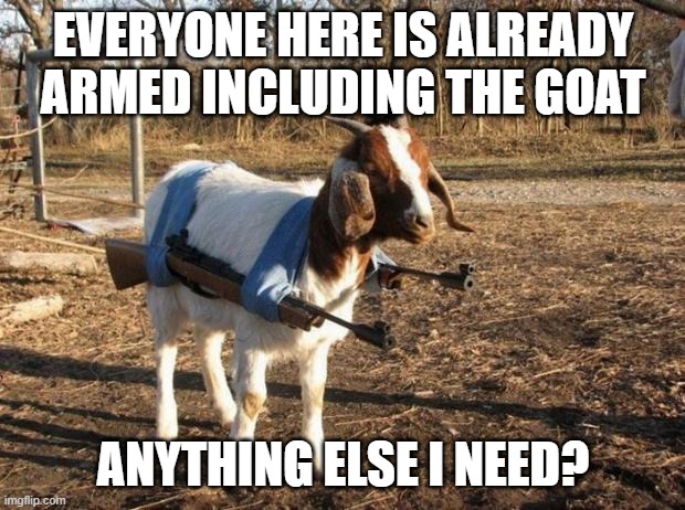 Armed and Dangerous | EVERYONE HERE IS ALREADY ARMED INCLUDING THE GOAT; ANYTHING ELSE I NEED? | image tagged in isis stealth weapon,funny goat,armed goat | made w/ Imgflip meme maker