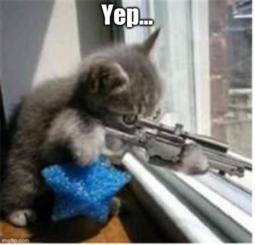 cats with guns | Yep... | image tagged in cats with guns | made w/ Imgflip meme maker