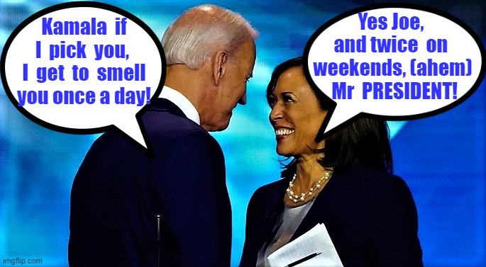 Joe Biden picks Kamala for VP | Yes Joe,  and twice  on  weekends, (ahem)  Mr  PRESIDENT! Kamala  if I  pick  you,  I  get  to  smell you once a day! | image tagged in meme,joe biden,kamala harris,vice president,smell | made w/ Imgflip meme maker