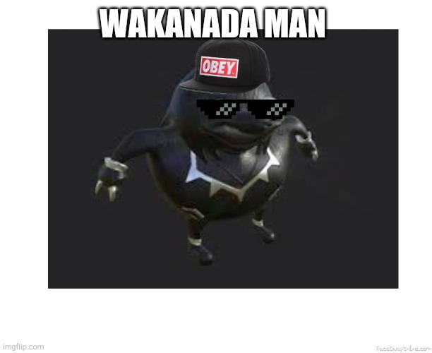 Wakanada Man | WAKANADA MAN | image tagged in wakanda,black panther | made w/ Imgflip meme maker