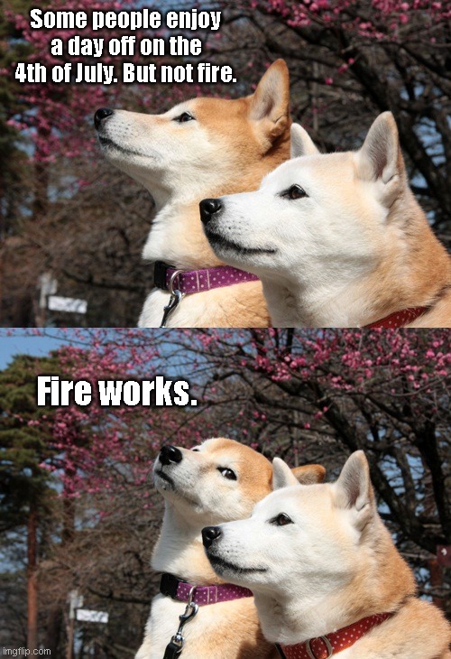 Bad pun dogs | Some people enjoy a day off on the 4th of July. But not fire. Fire works. | image tagged in bad pun dogs,fourth of july,independence day,humor | made w/ Imgflip meme maker