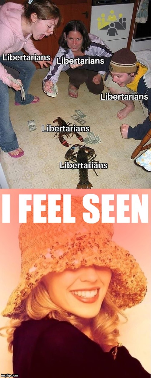 Sorry libertarians but as an ex-libertarian I can confirm the accuracy of this meme. | image tagged in kylie i feel seen,libertarians scorpion battle,libertarians,libertarianism,libertarian,politics lol | made w/ Imgflip meme maker