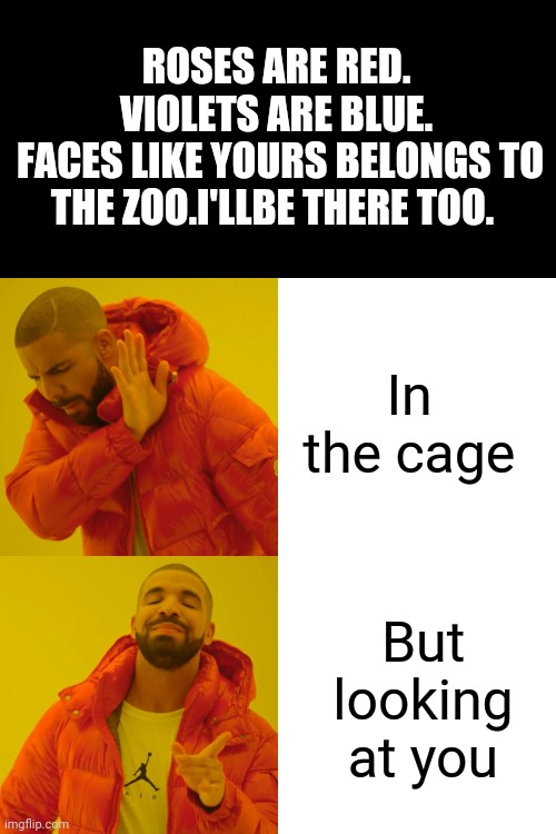 Don't be mad.I'llbe there too! | ROSES ARE RED.
VIOLETS ARE BLUE.
 FACES LIKE YOURS BELONGS TO THE ZOO.I'LLBE THERE TOO. In the cage; But looking at you | image tagged in memes,drake hotline bling | made w/ Imgflip meme maker