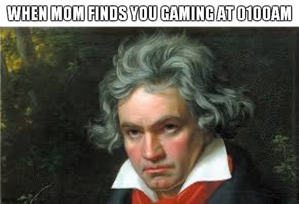 WHEN MOM FINDS YOU GAMING AT 0100AM | image tagged in beethoven | made w/ Imgflip meme maker