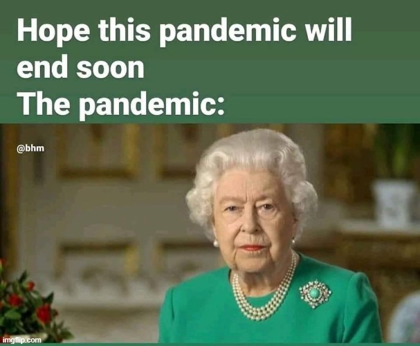 No title necessary on this one lmao (repost) | image tagged in repost,pandemic,covid-19,coronavirus,the queen elizabeth ii,queen elizabeth | made w/ Imgflip meme maker