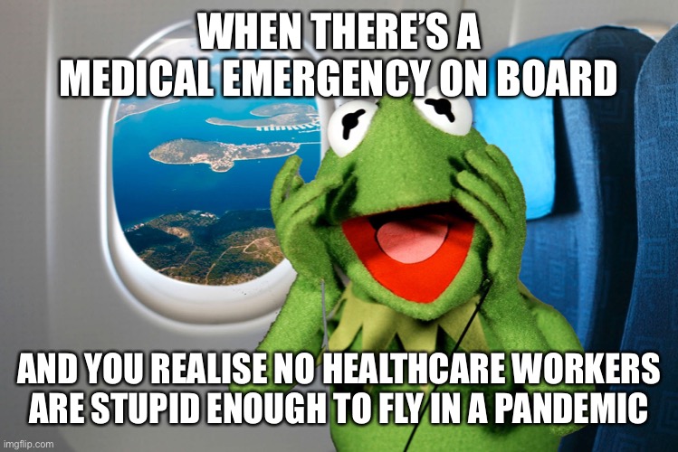 Kermit on a plane | WHEN THERE’S A MEDICAL EMERGENCY ON BOARD; AND YOU REALISE NO HEALTHCARE WORKERS ARE STUPID ENOUGH TO FLY IN A PANDEMIC | image tagged in kermit on a plane,pandemic,covid-19 | made w/ Imgflip meme maker