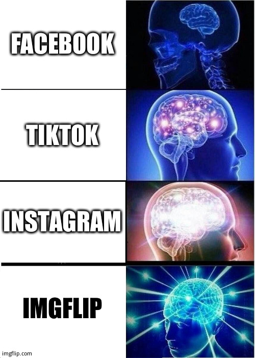 Imgflip powered | FACEBOOK; TIKTOK; INSTAGRAM; IMGFLIP | image tagged in memes,expanding brain | made w/ Imgflip meme maker