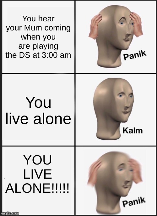 O oh | You hear your Mum coming when you are playing the DS at 3:00 am; You live alone; YOU LIVE ALONE!!!!! | image tagged in memes,panik kalm panik | made w/ Imgflip meme maker