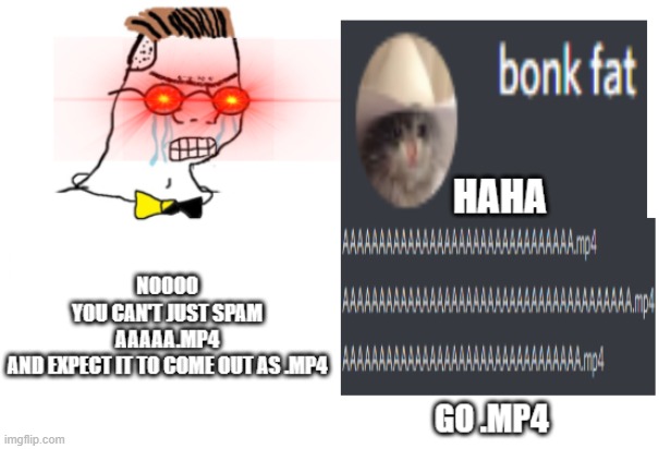 AAAA.mp4 | image tagged in memes | made w/ Imgflip meme maker