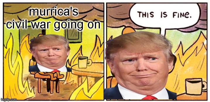 Can we have a "bad edited memes" week? | murrica's civil war going on | image tagged in memes,this is fine | made w/ Imgflip meme maker