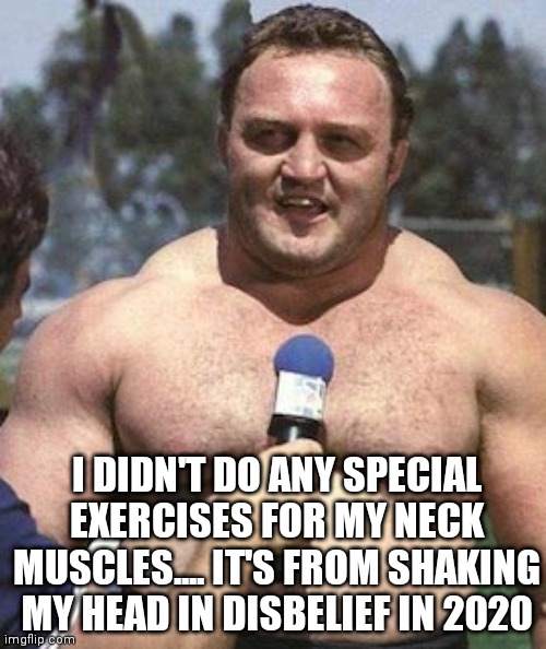 I DIDN'T DO ANY SPECIAL EXERCISES FOR MY NECK MUSCLES.... IT'S FROM SHAKING MY HEAD IN DISBELIEF IN 2020 | image tagged in memes | made w/ Imgflip meme maker
