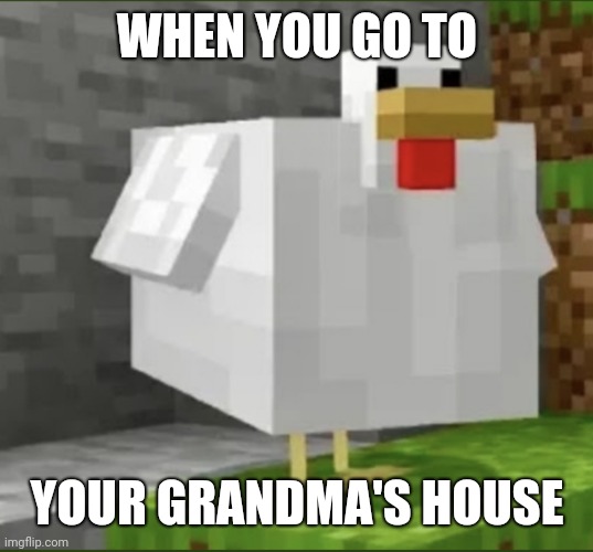 . | WHEN YOU GO TO; YOUR GRANDMA'S HOUSE | image tagged in cursed chicken | made w/ Imgflip meme maker