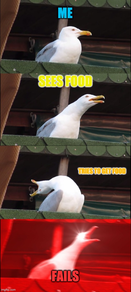 Inhaling Seagull | ME; SEES FOOD; TRIES TO GET FOOD; FAILS | image tagged in memes,inhaling seagull | made w/ Imgflip meme maker